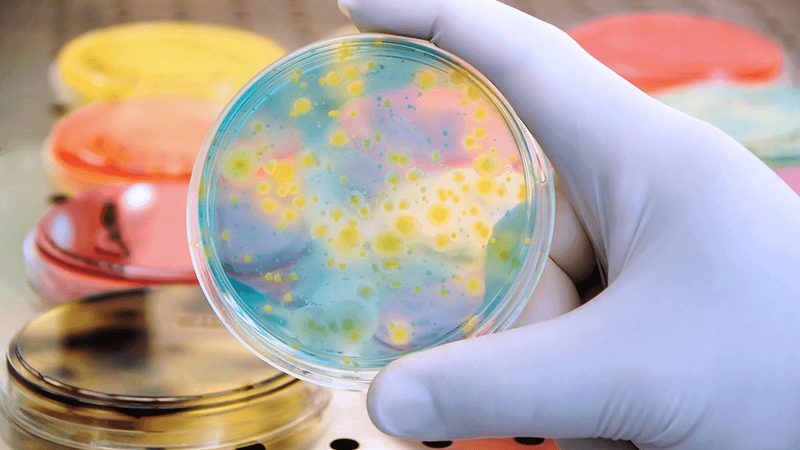 细胞工厂定制价格：揭秘定制化生物制药的经济学