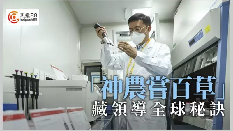 成都宠物抗体检测试剂盒到底在看什么