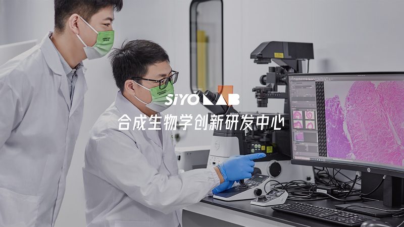 电商网站CRO优化效果评估：关键指标与实操解析