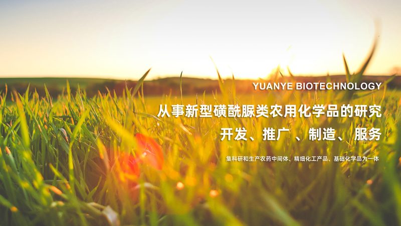 离心管防爆，安全之选：揭秘离心管选择的关键要素**