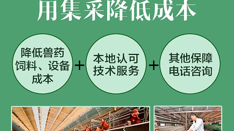 新冠PCR检测流程：揭秘精准防控的关键步骤