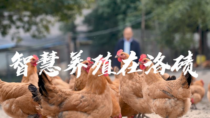 上海生物医药研发外包，费用背后藏着哪些门道