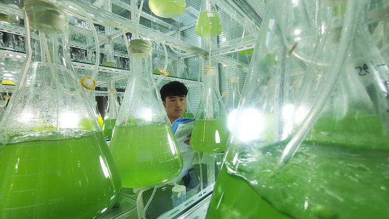 细胞培养皿标准规范要求到底看什么